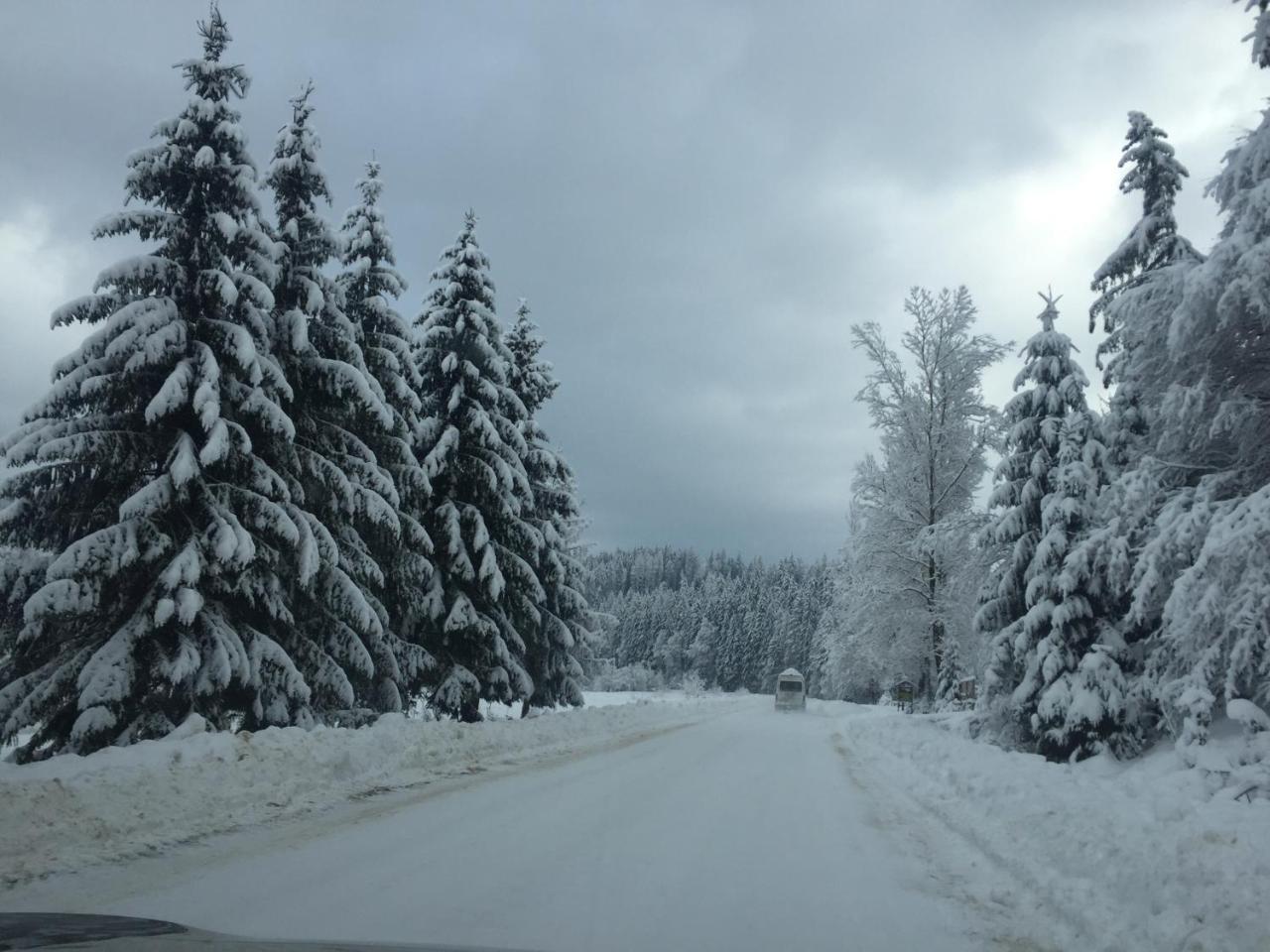Котедж Смерекова Хата- Пилипець Kelechin Exterior foto